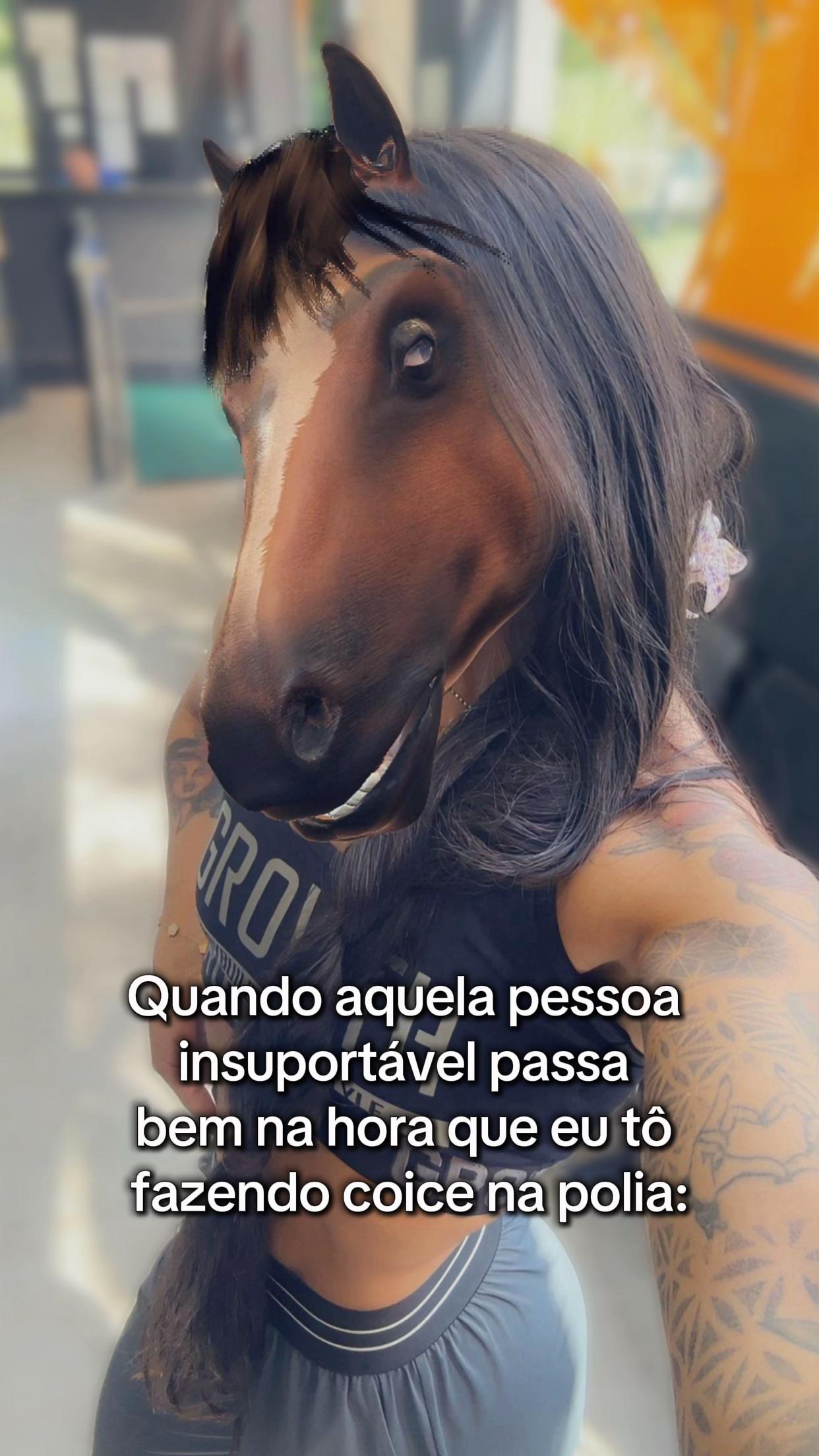@danimelo.cardoso