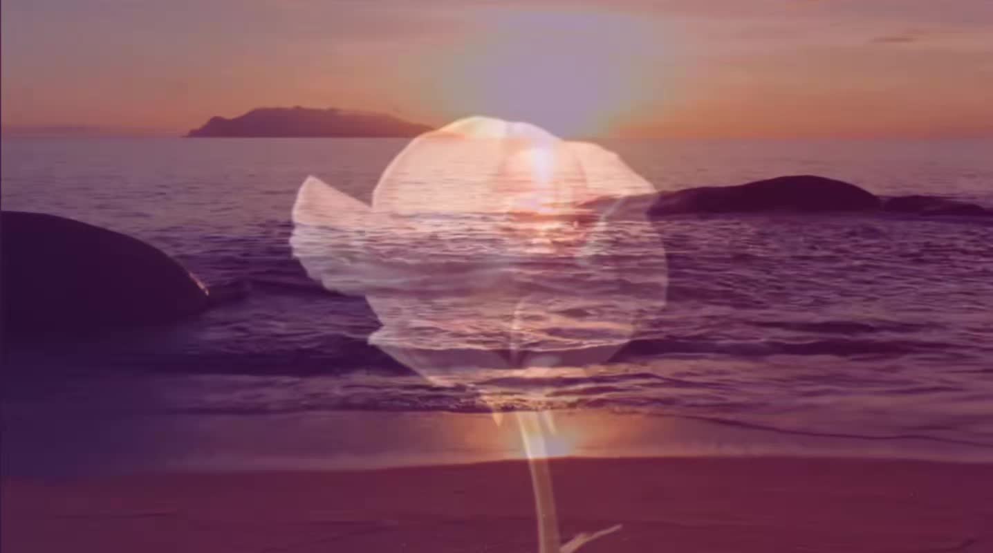 @𝓛𝓲𝓼𝓪