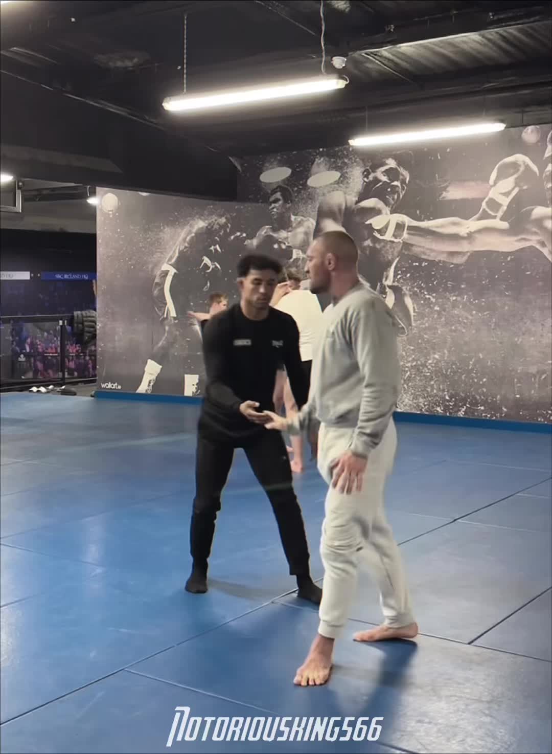 @Conor Mcgregor