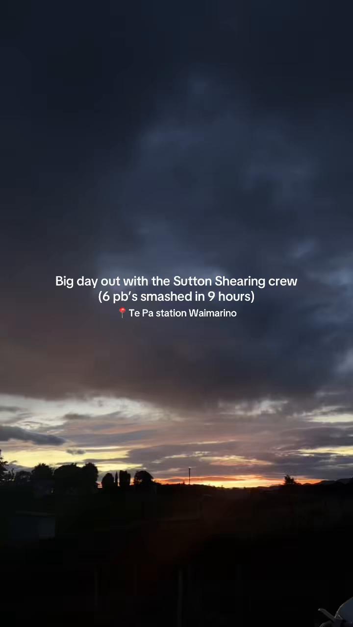 @lauraxsutton