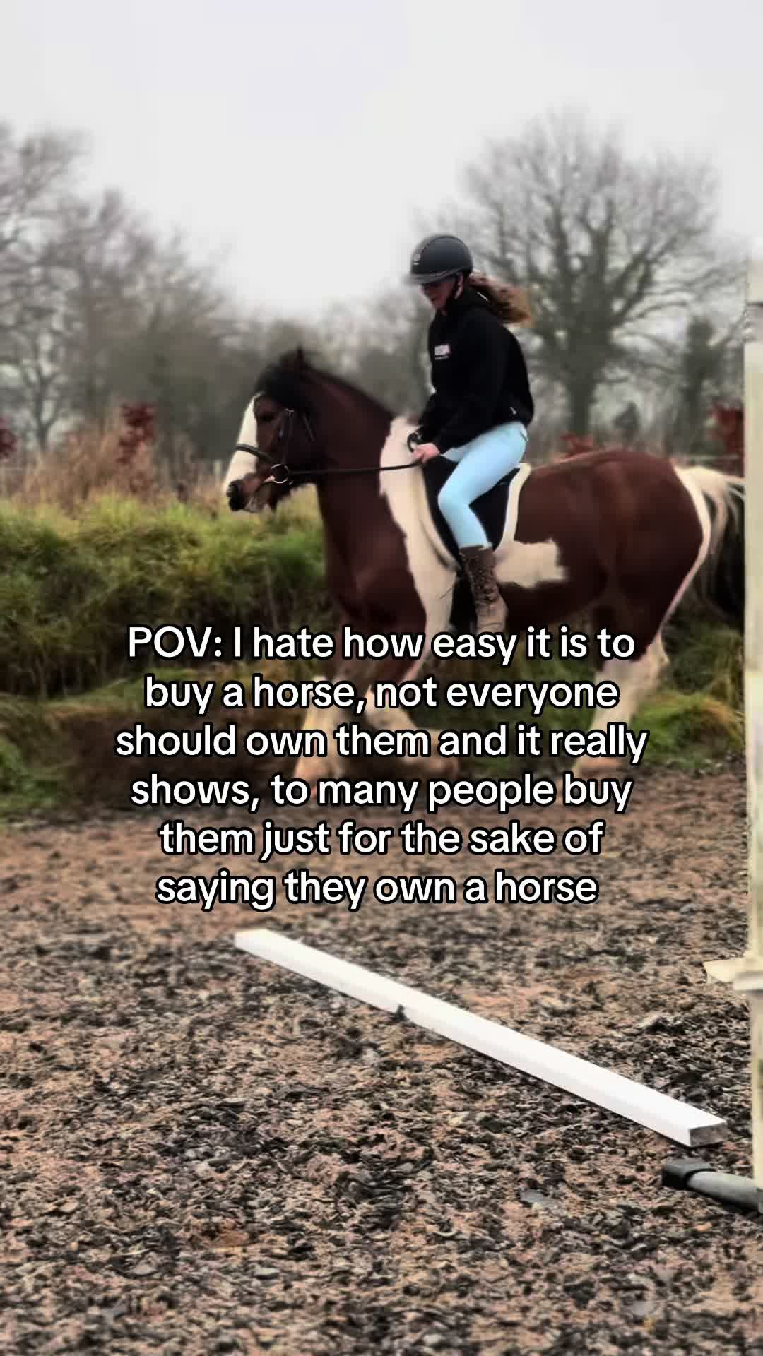 @Sophie&merlin🌸🐴