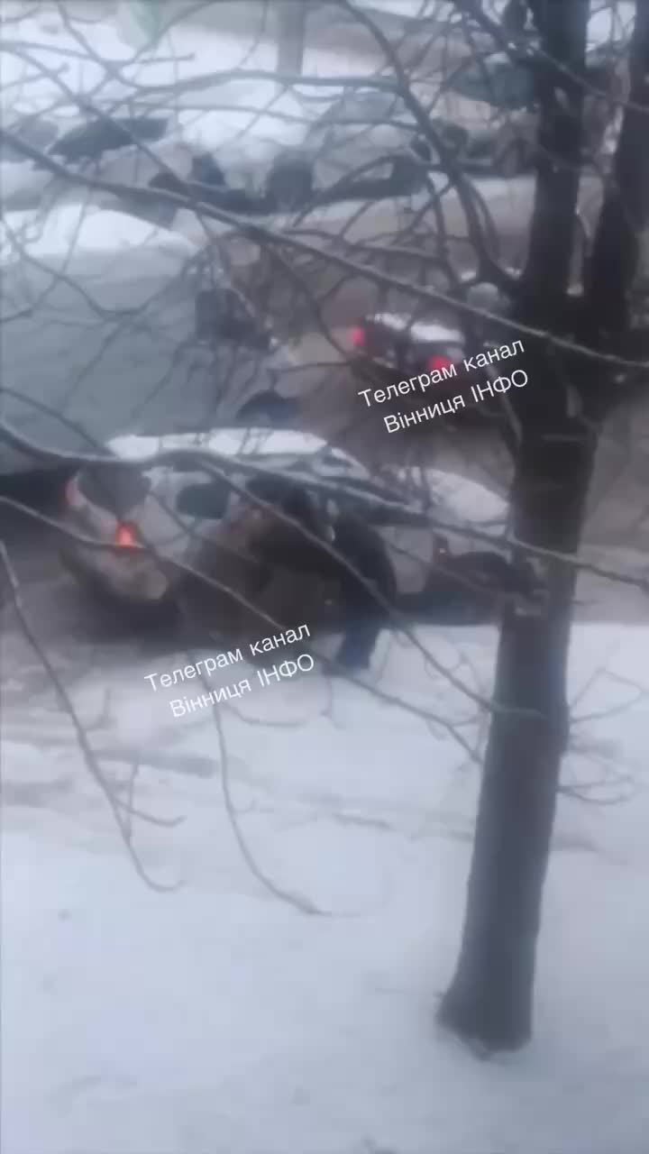 @Усатый - полосатый