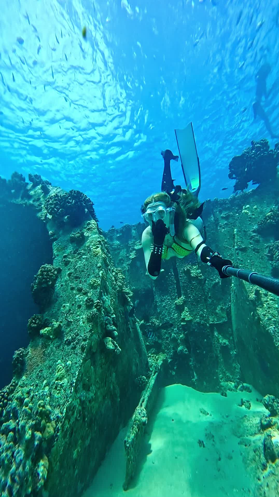 @Coralia Dives 🧜&zwj;♀️
