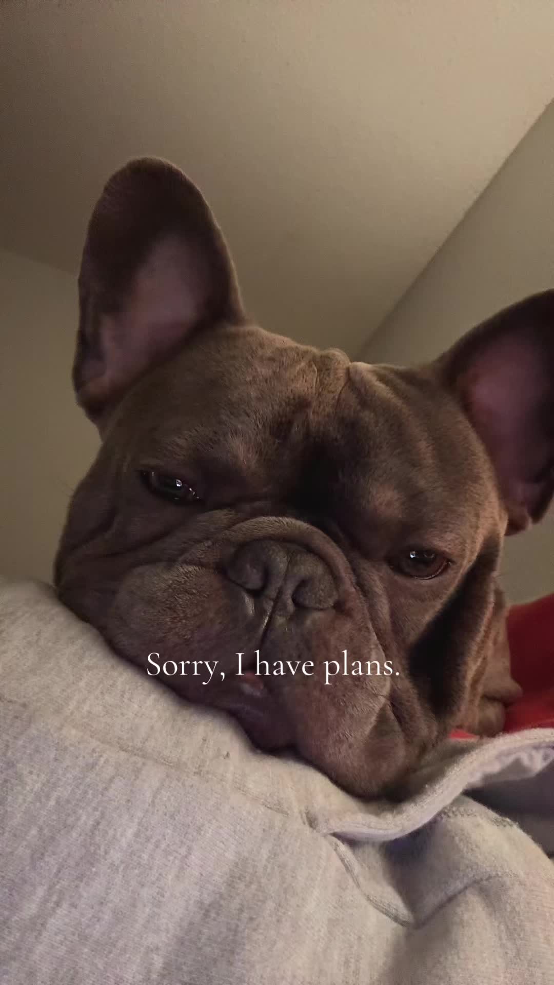 @alyssa_butts