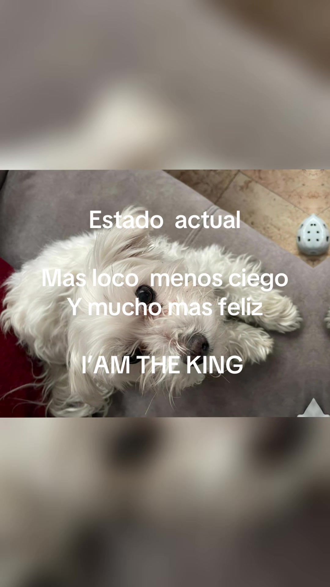 @ramonpc8