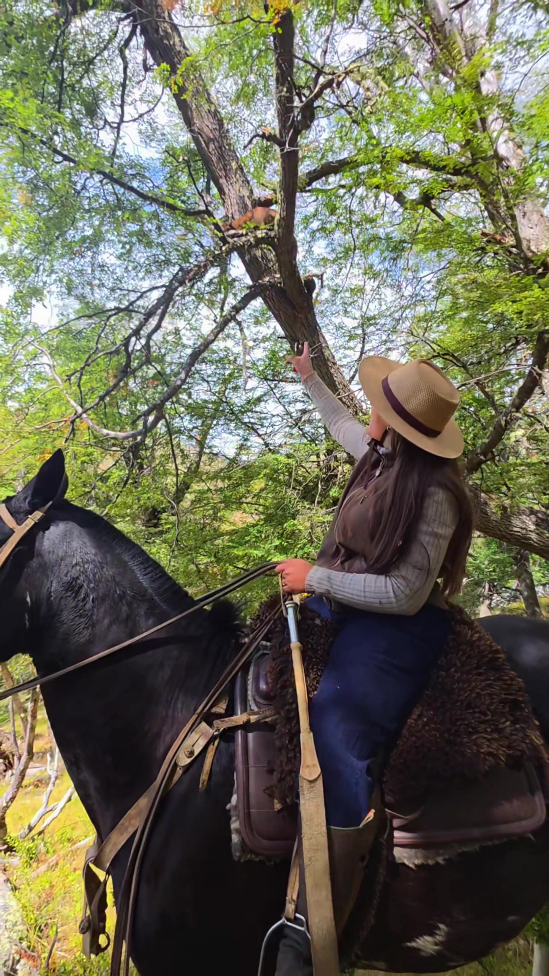 @Paisa 🐴