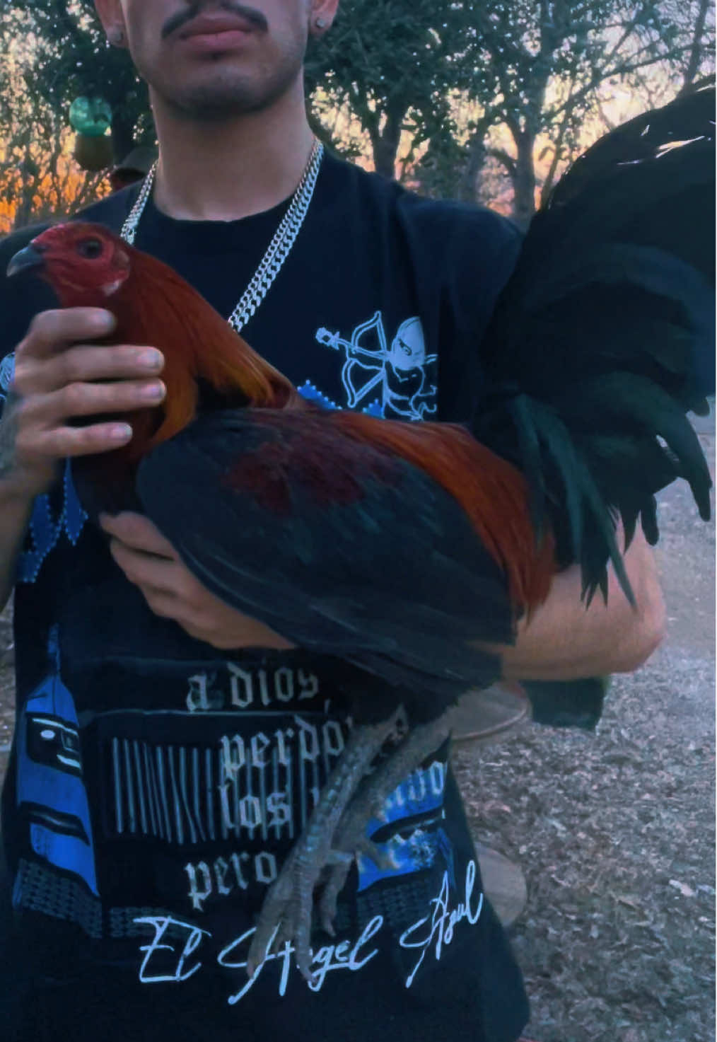 @PR_Gamefowl👑