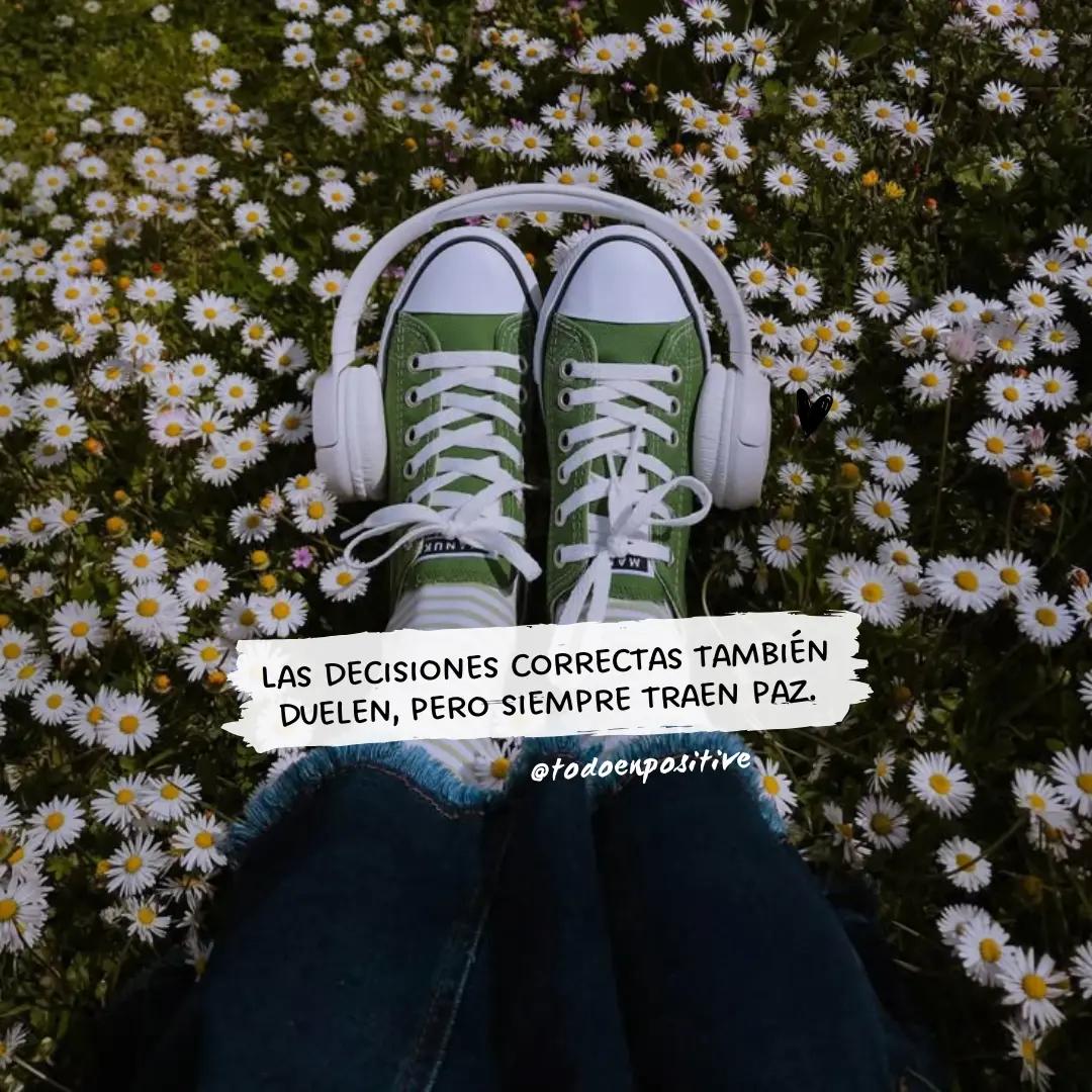 @Todo en Positivo🌻