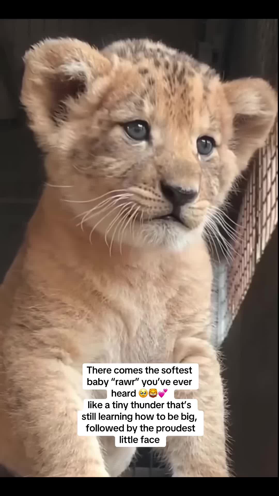 @Nature.best