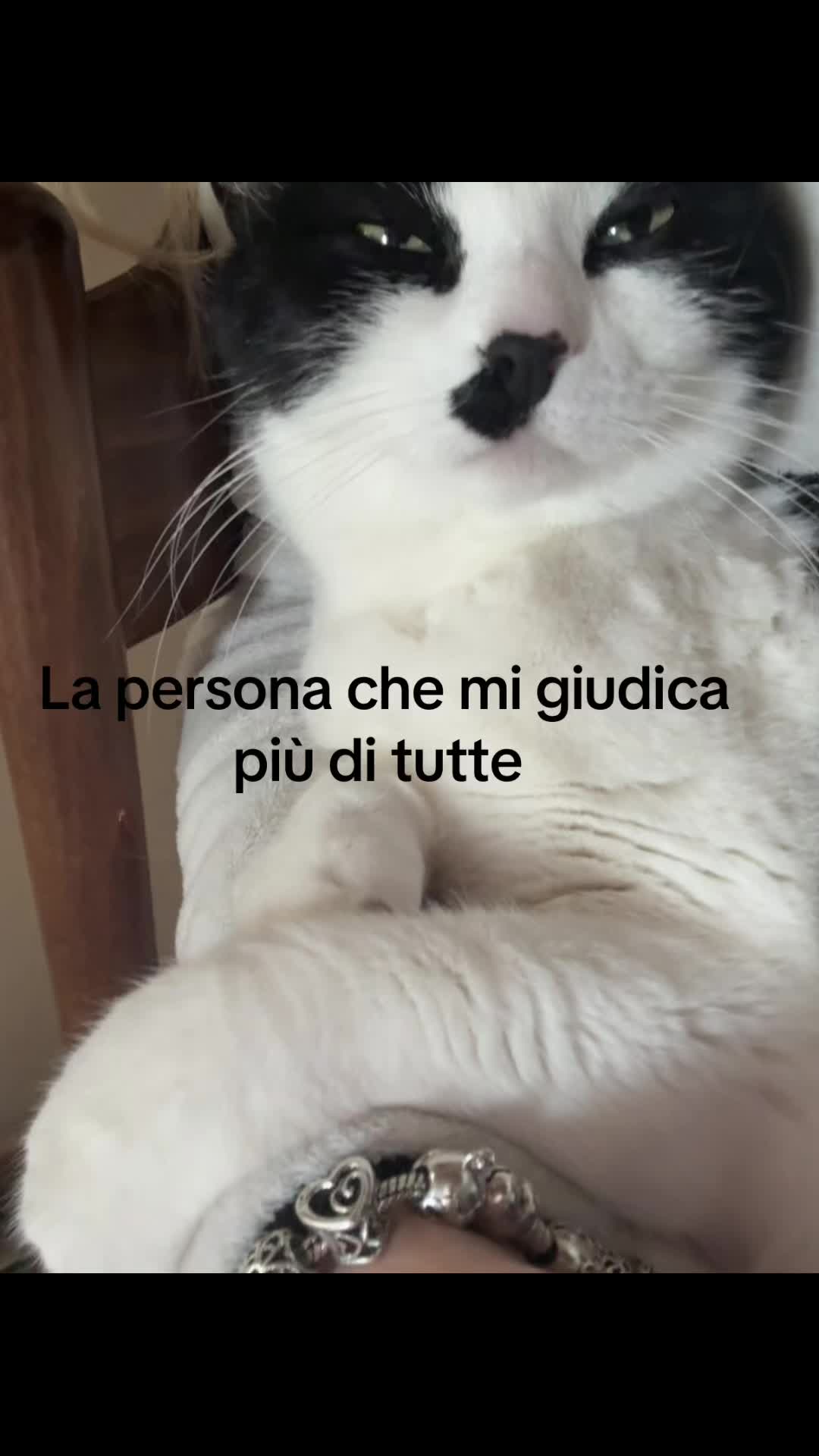 @Alina Belii