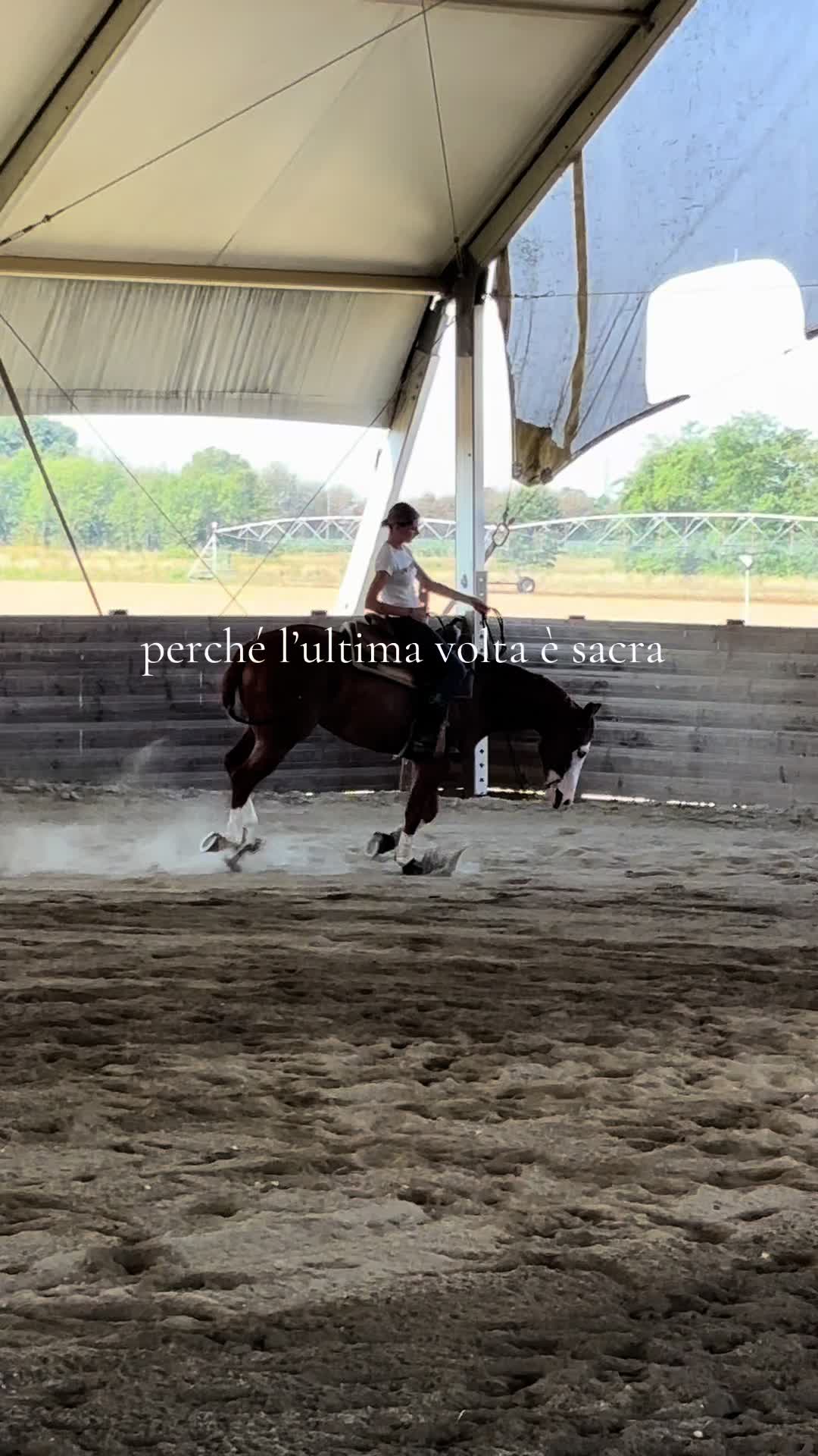 @greta_baricchi