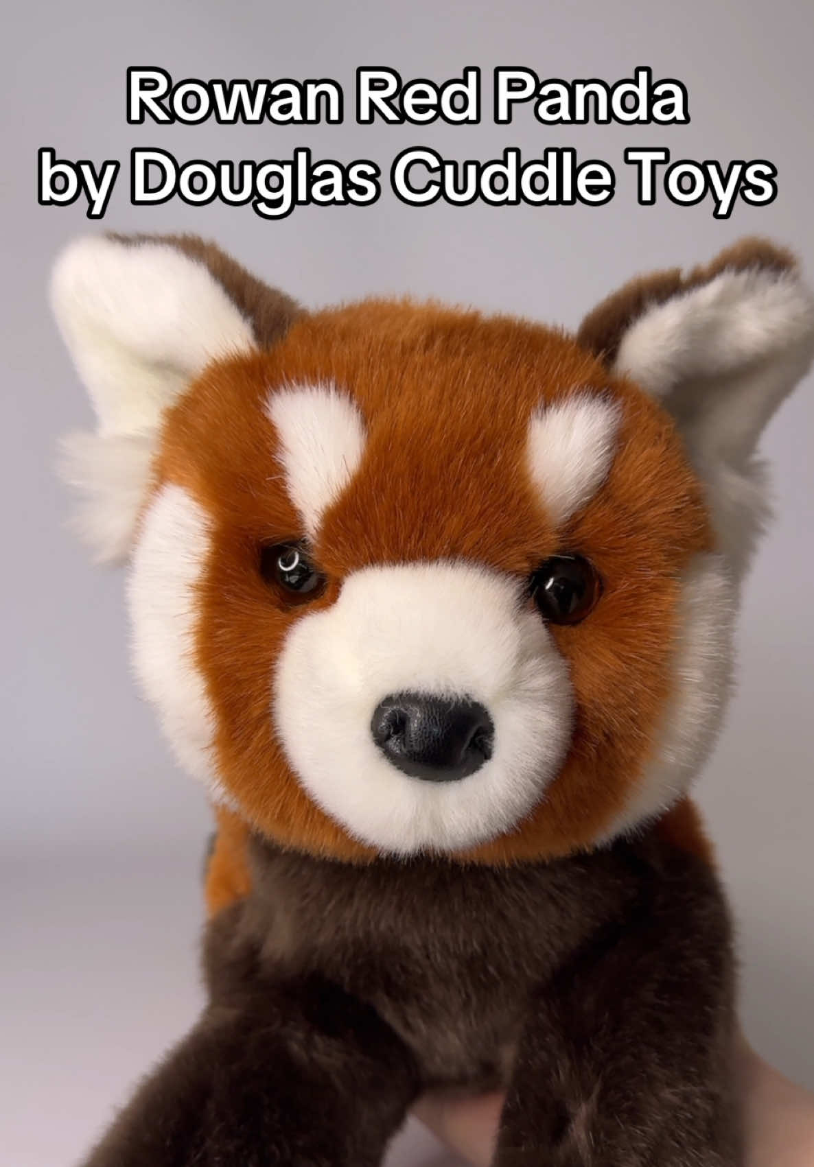 @Wonder Wolf Plush