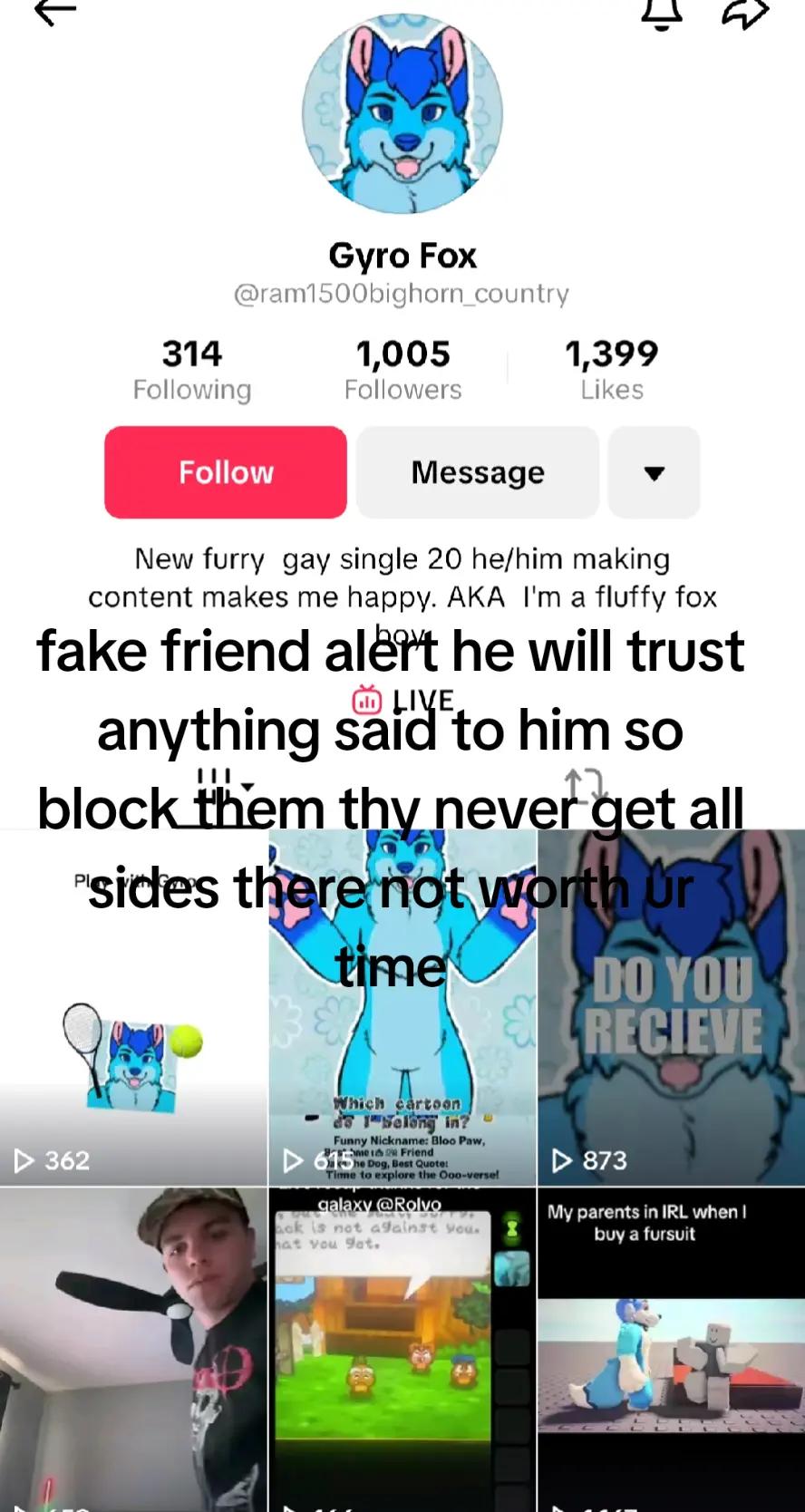 @theshinningfirefox
