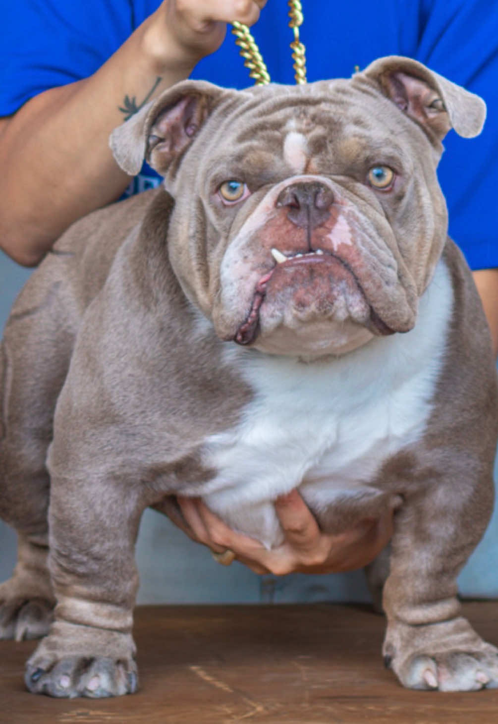 @1of1bulldogz