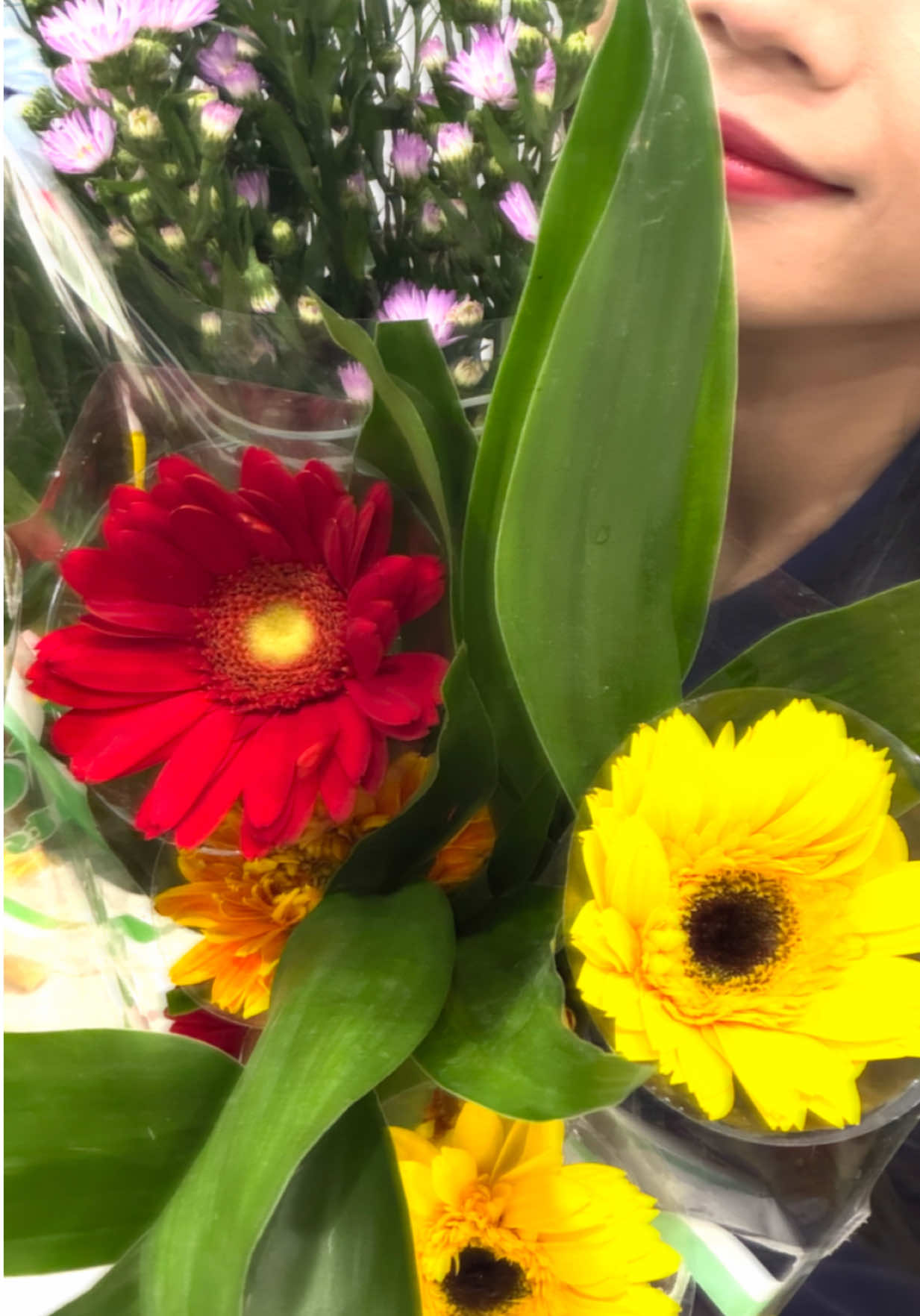 @Daisy 🌼