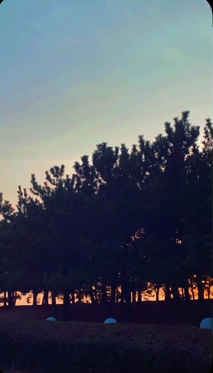 @🌼Rashi_______111🦋🇰🇷