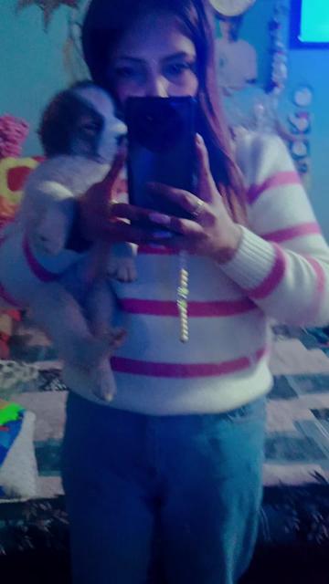 @ranju/cute 🥰