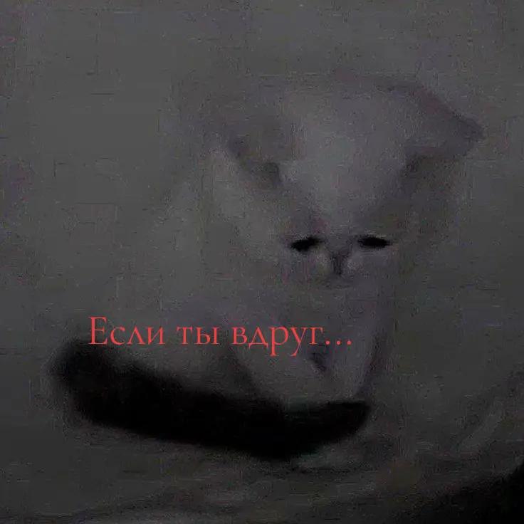 @kwiivis