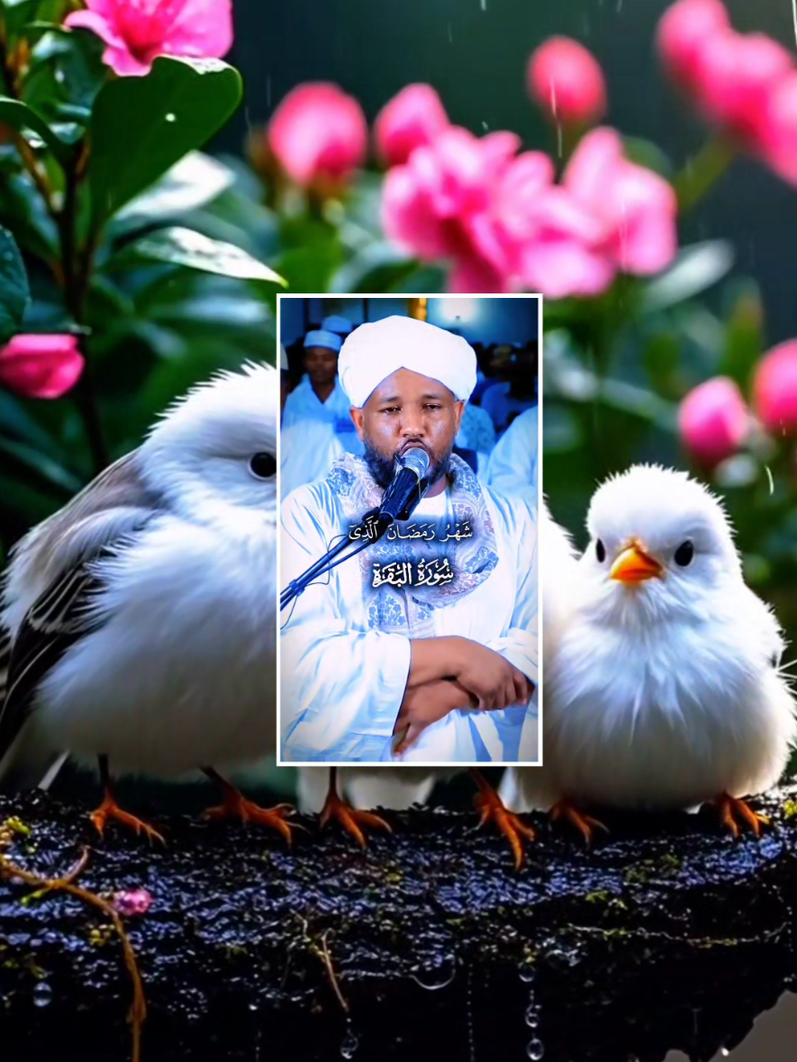 @DeenReminder