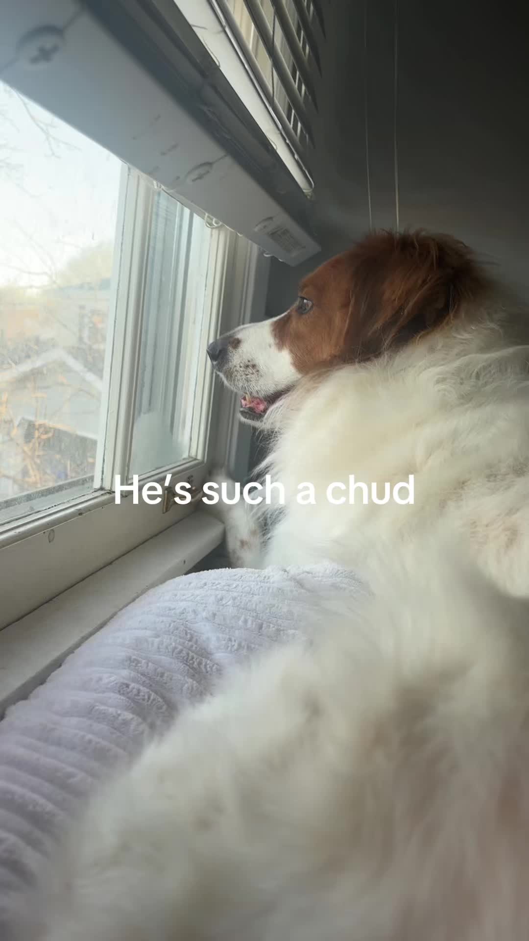 @pennyokeryeah