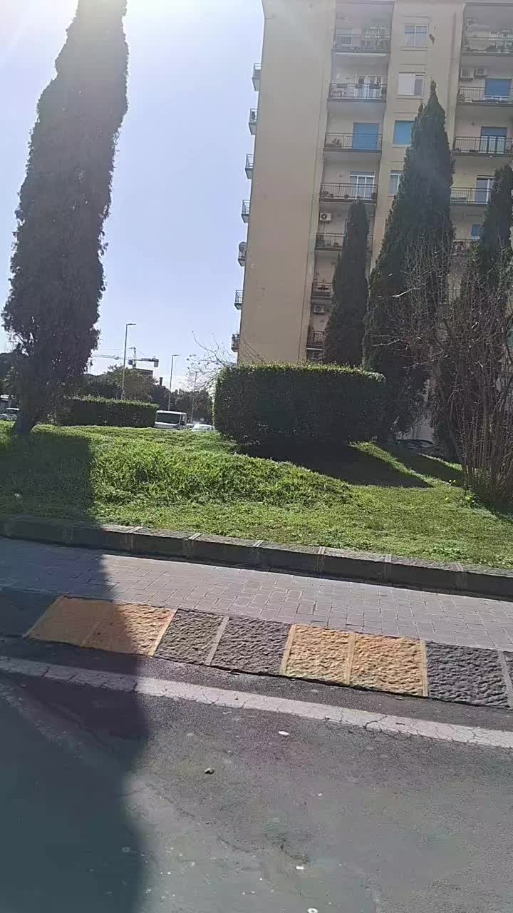@Angelo Rinzivillo