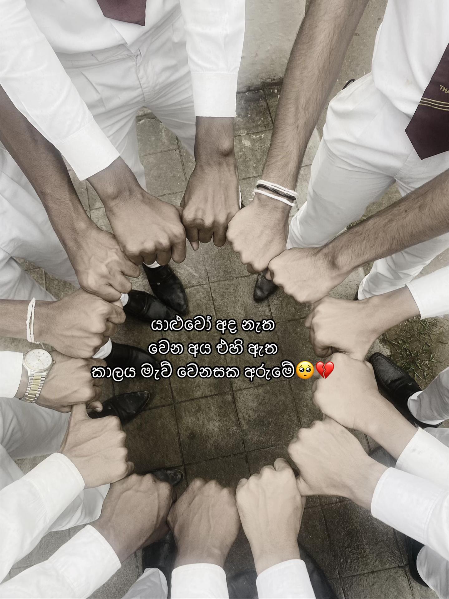 @Dilshi🌸