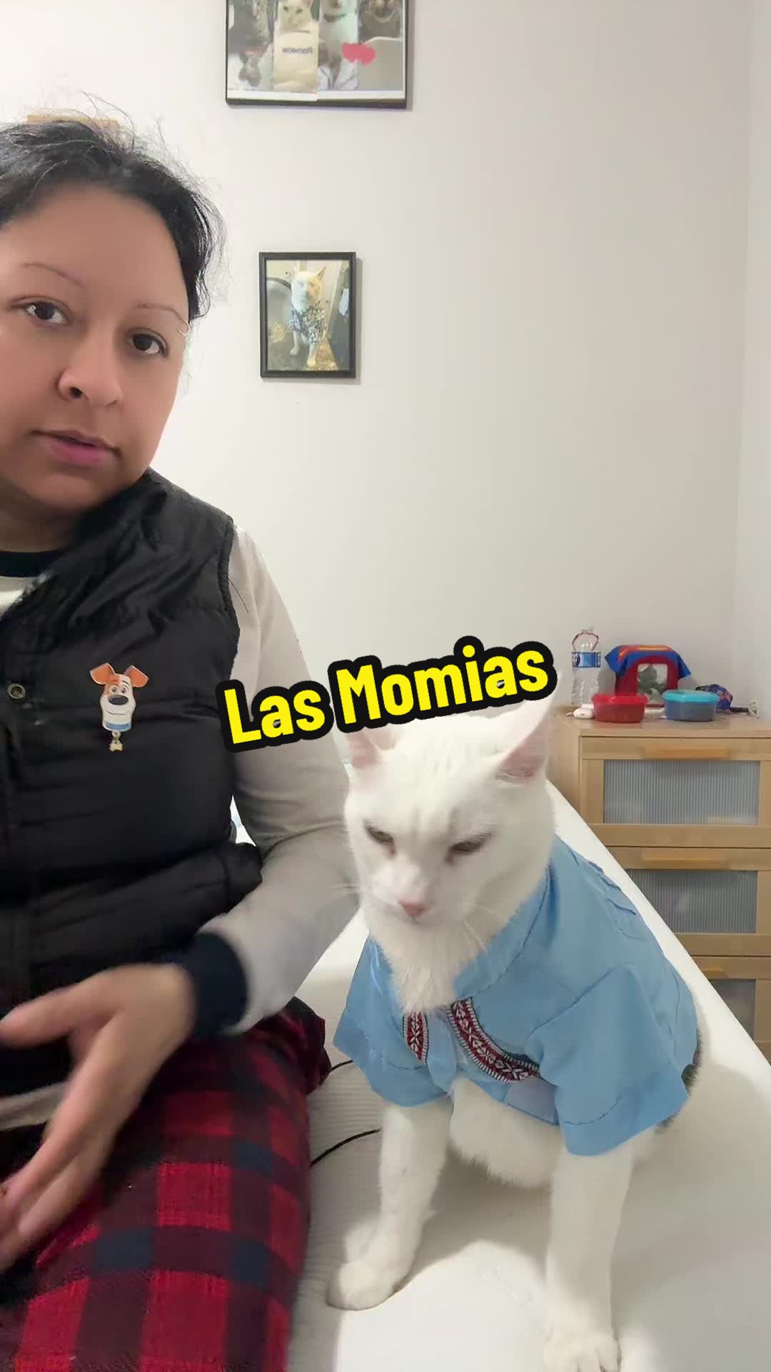 @🦖 MEOWassic CAT😺
