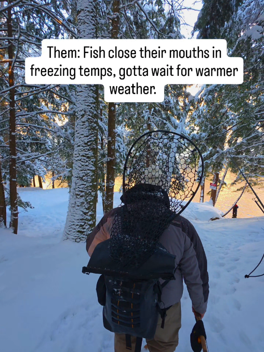 @the360angler