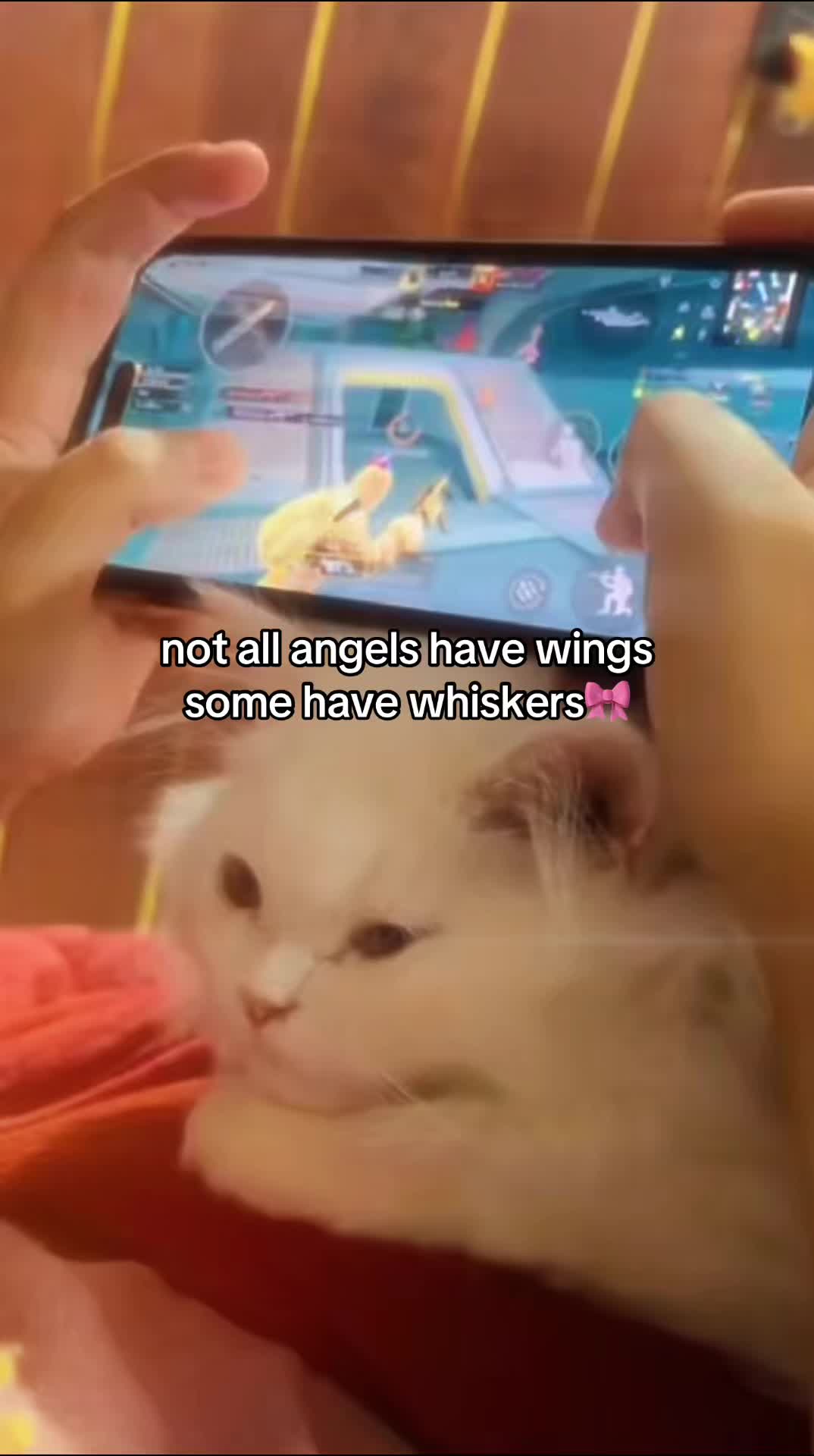 @_purrfecttpaws_