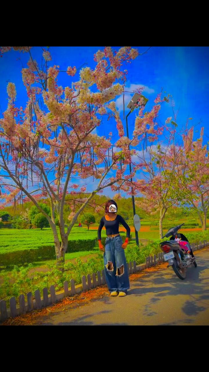 @L&yuml; L&yuml;🤍