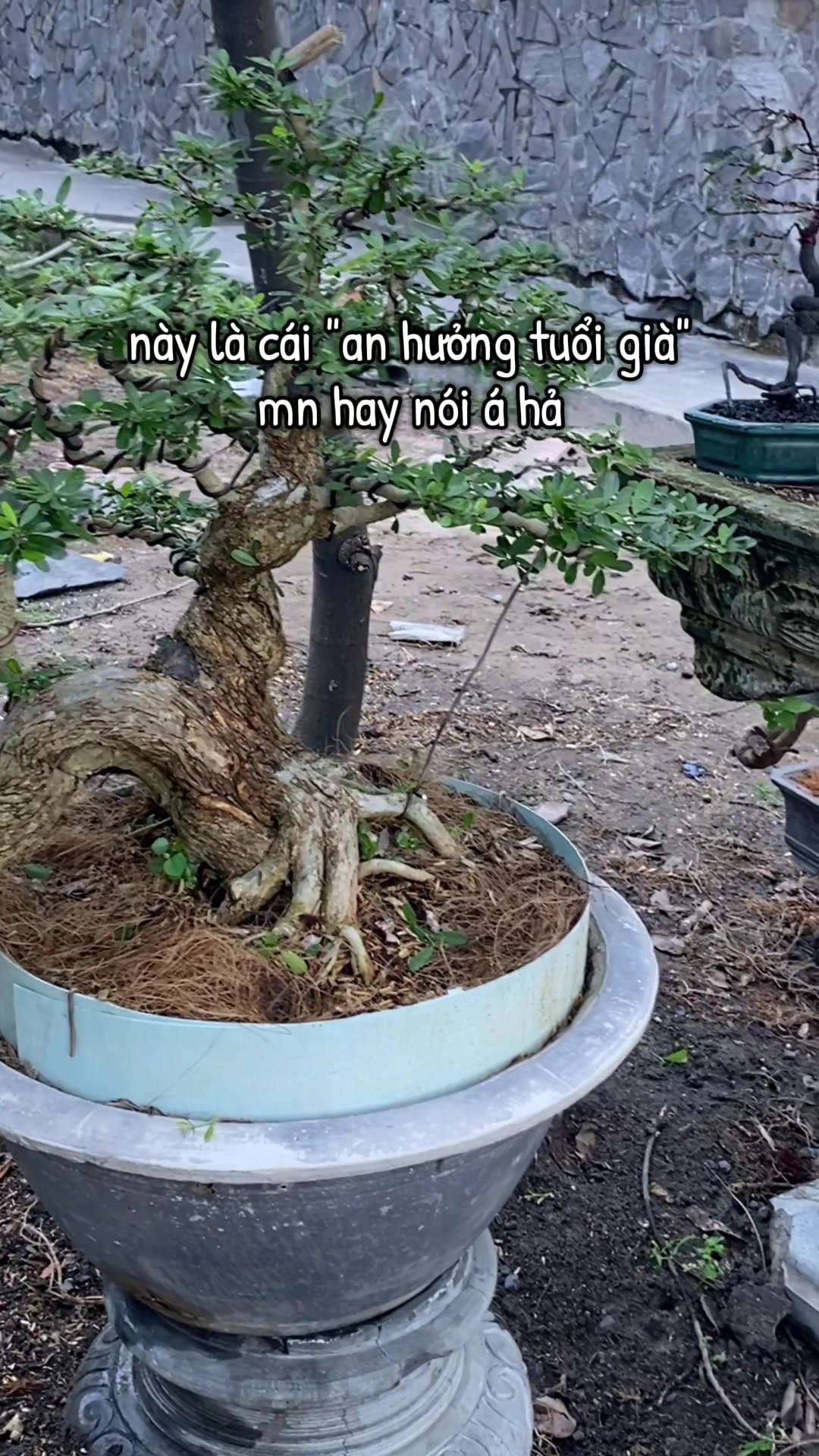 @Sỹ.Hiếu- T&acirc;n CN đi NV