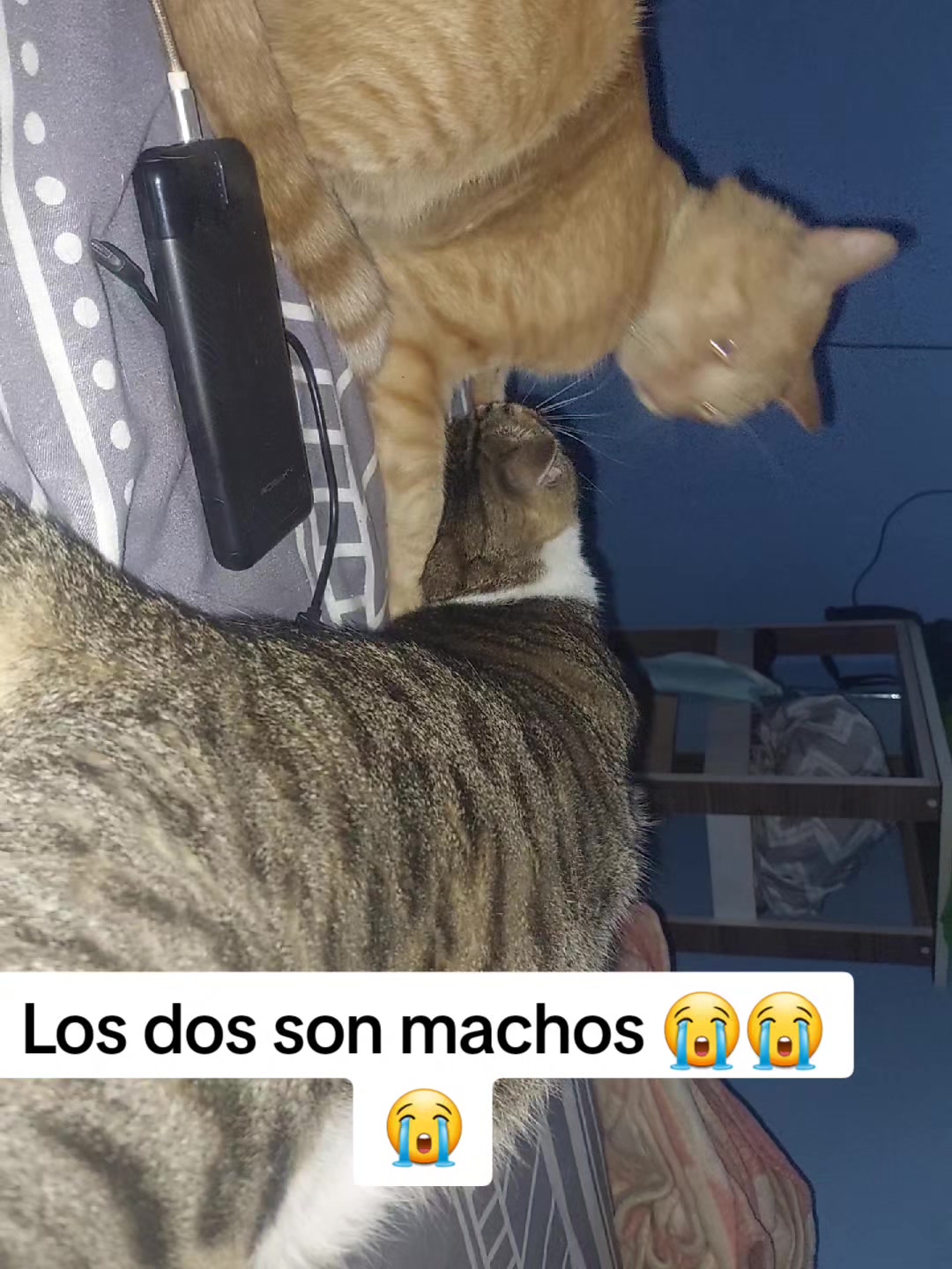 @Yargelis Susana