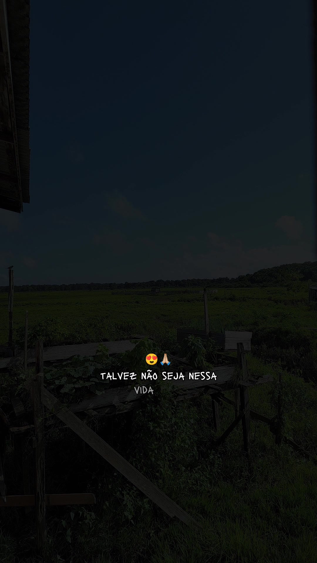 @Dryca