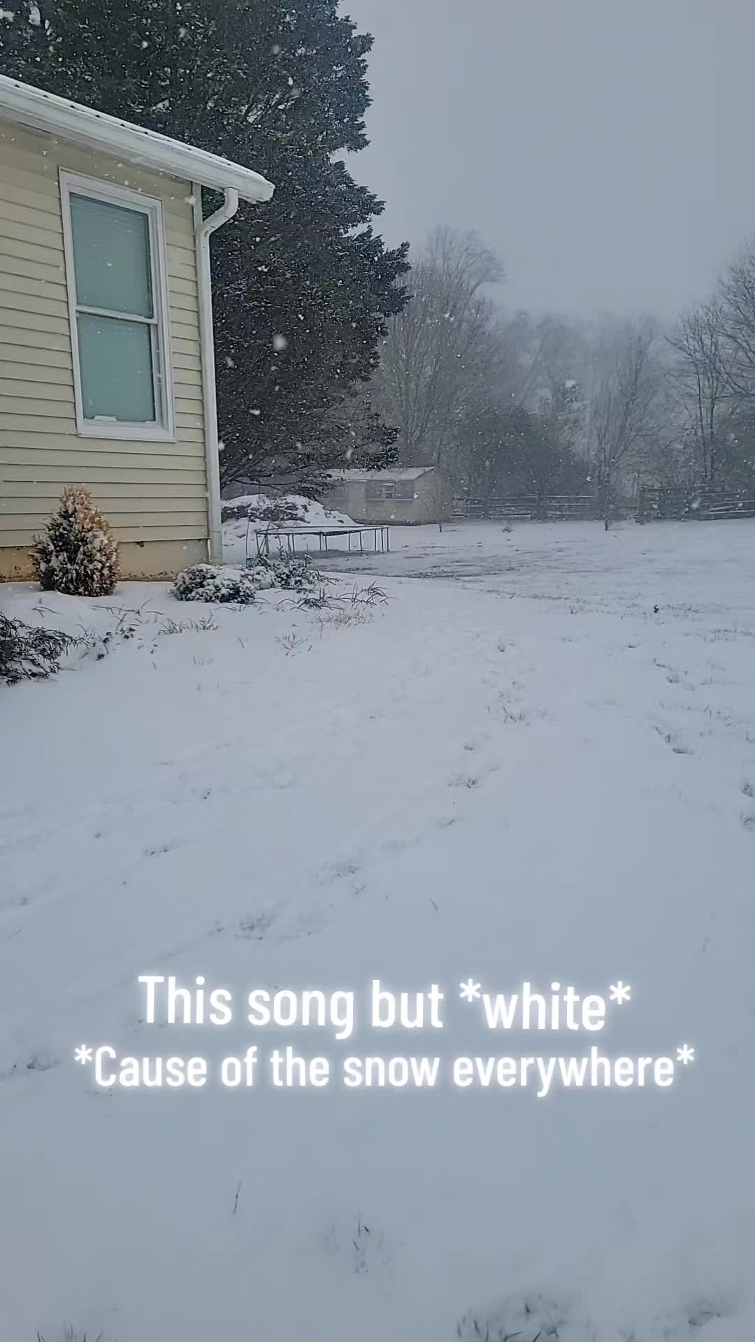 @LunaRavenWolf