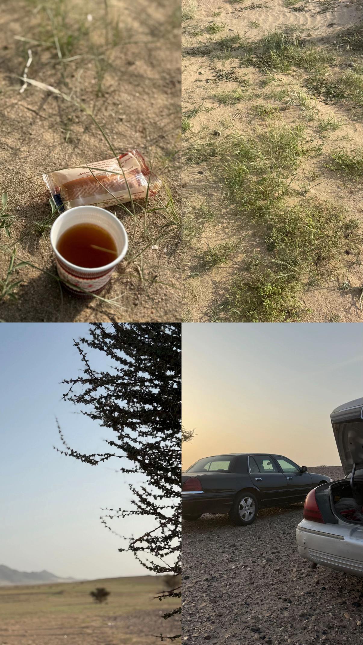 @مريم الجهني