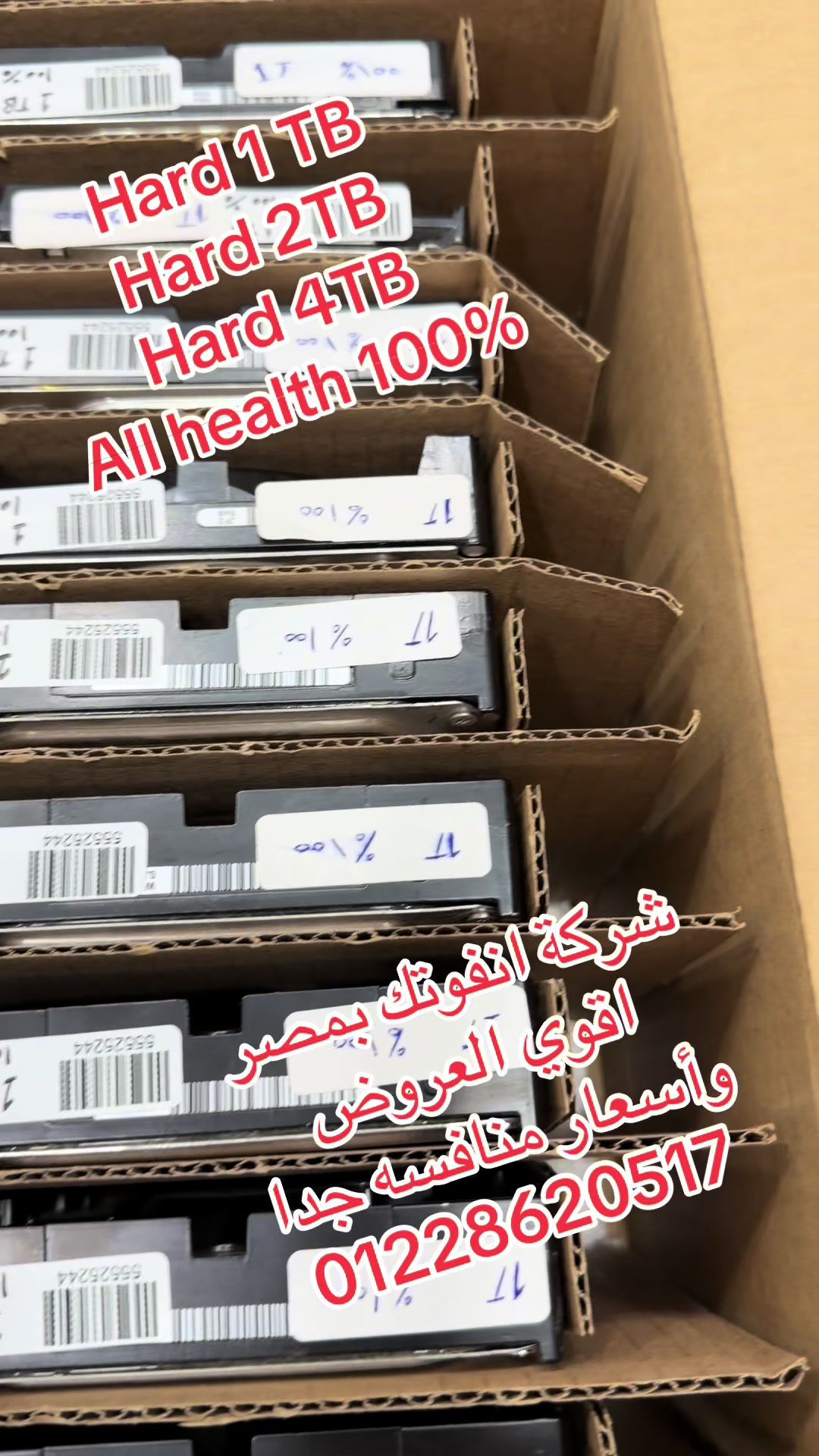 @Mena Mecheal52