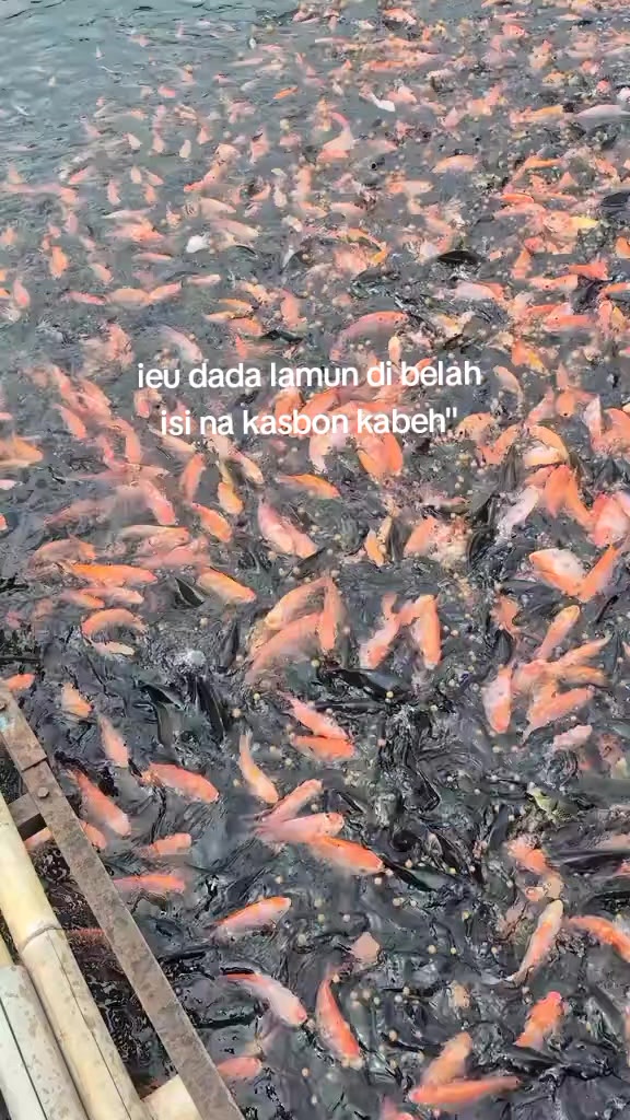 @"HAJI R FISHH" 🐟🐟