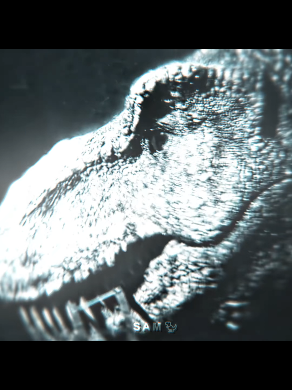 @𝙎𝘼𝙈🦖