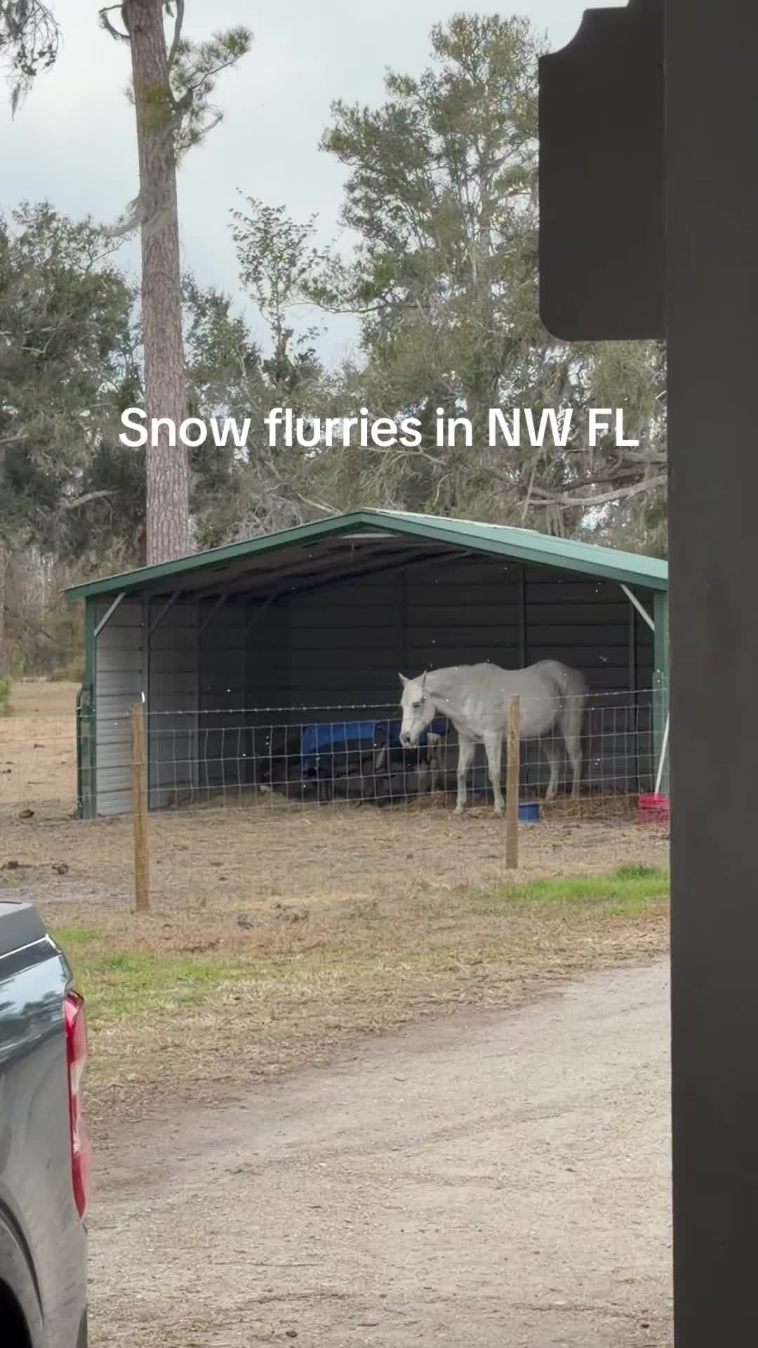 @Kelley Farms