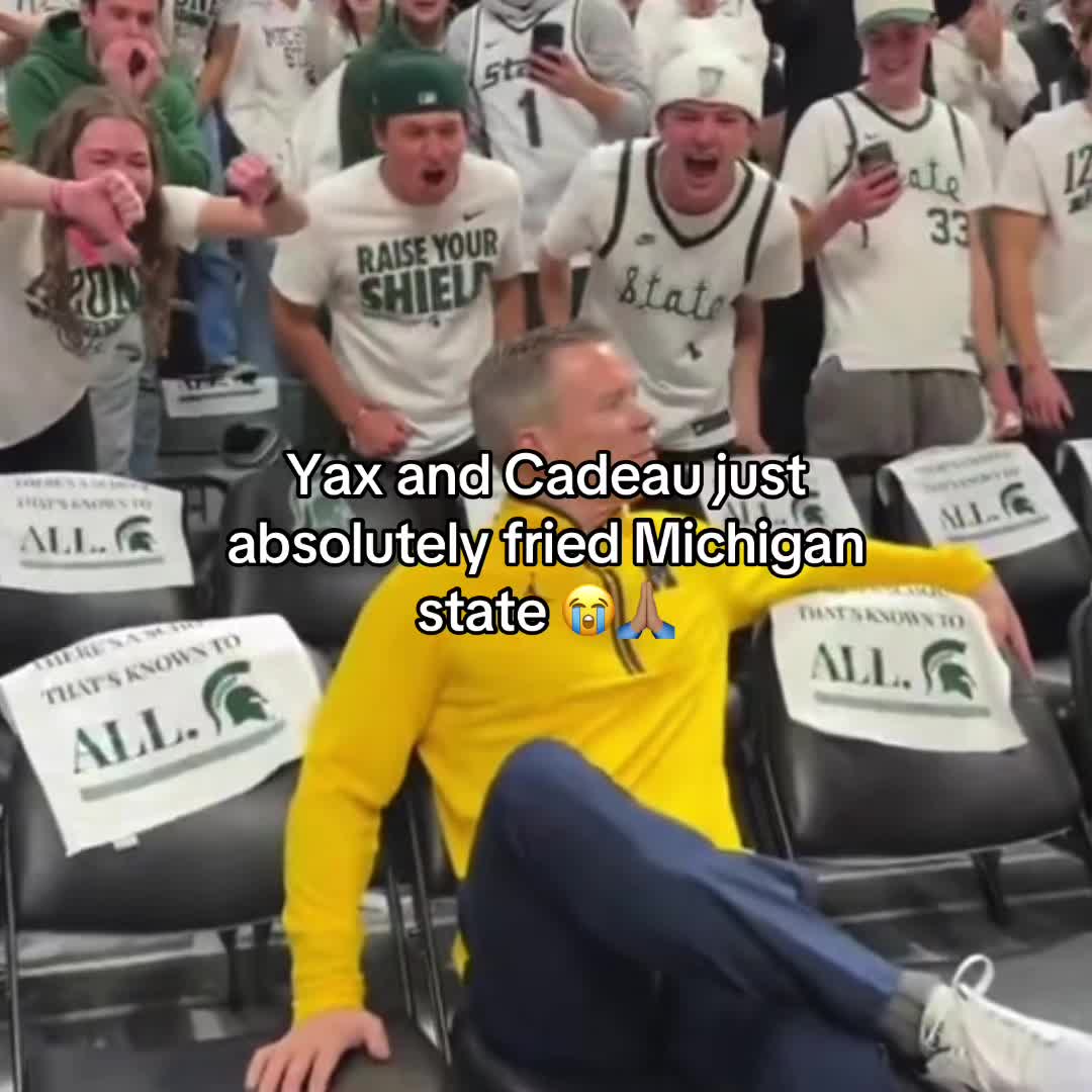 @daviswarrenbiggestfan