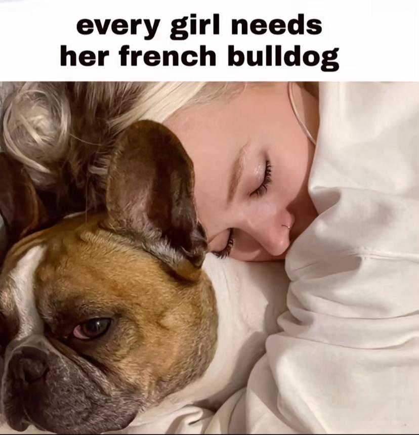@Jessie 🐶