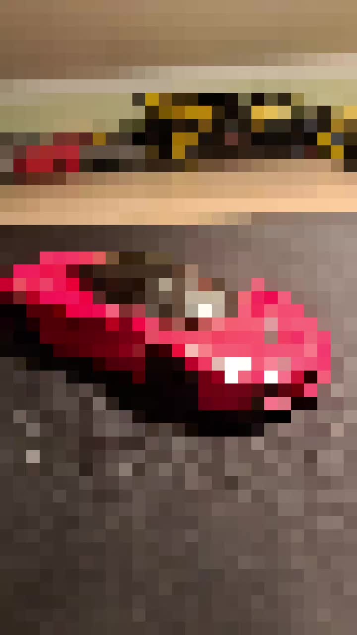 @𝑻𝑰𝑴𝑰𝑿𝒁🐉