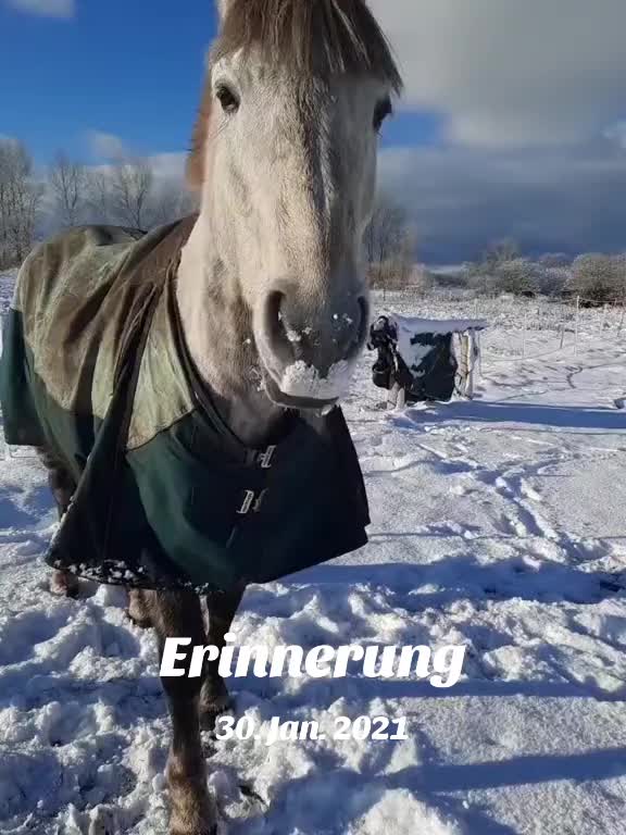 @W_S