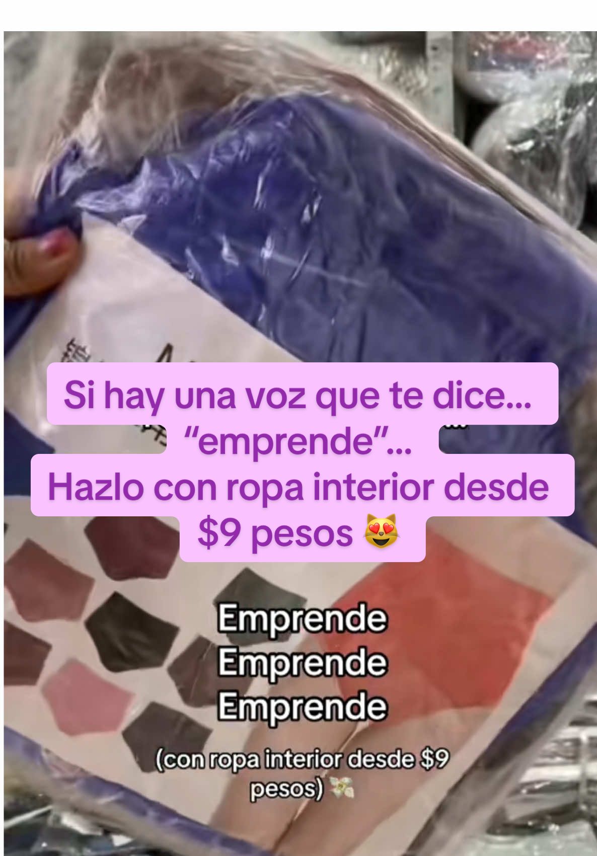 @rintin