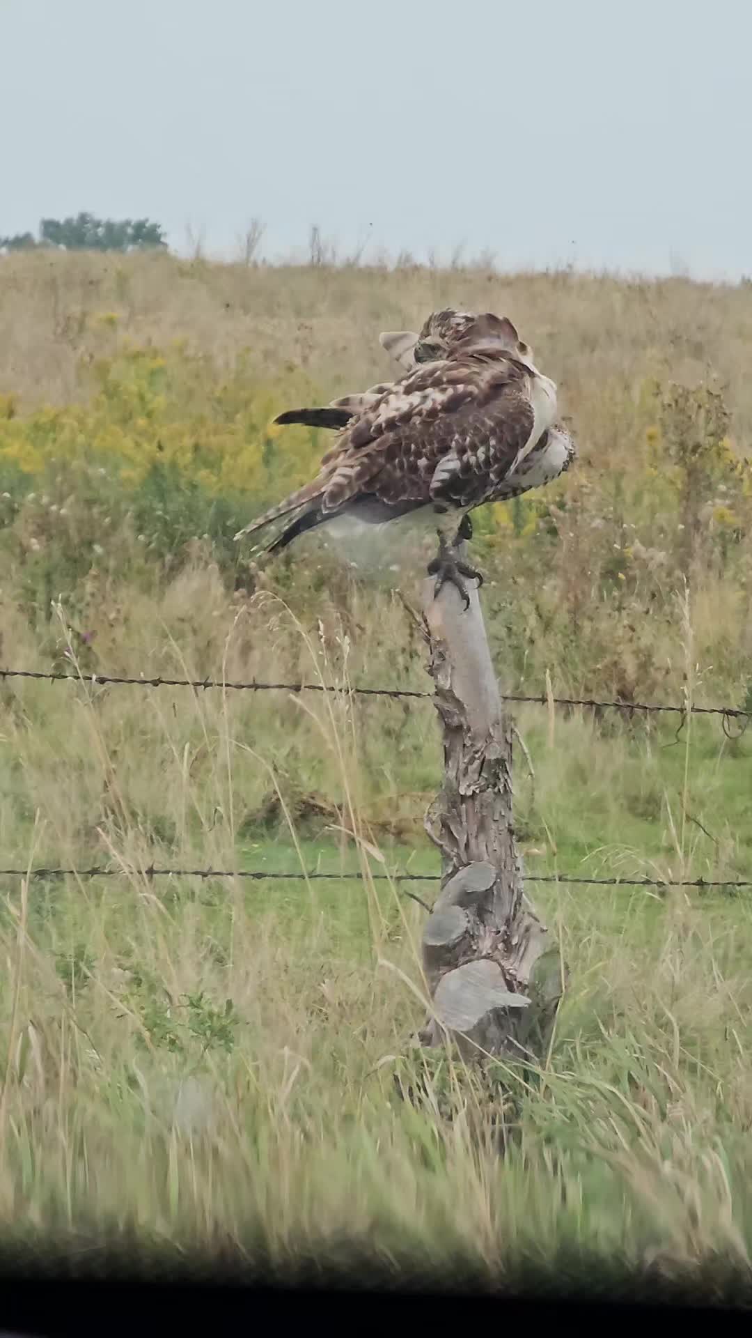 @Natures FanPage