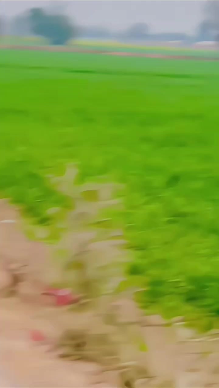 @M W̶a̶s̶e̶e̶m̶ ̶H̶a̶r̶a̶j̶