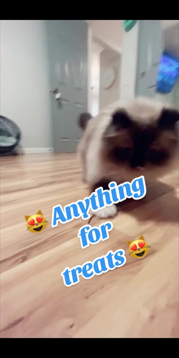 @Christina