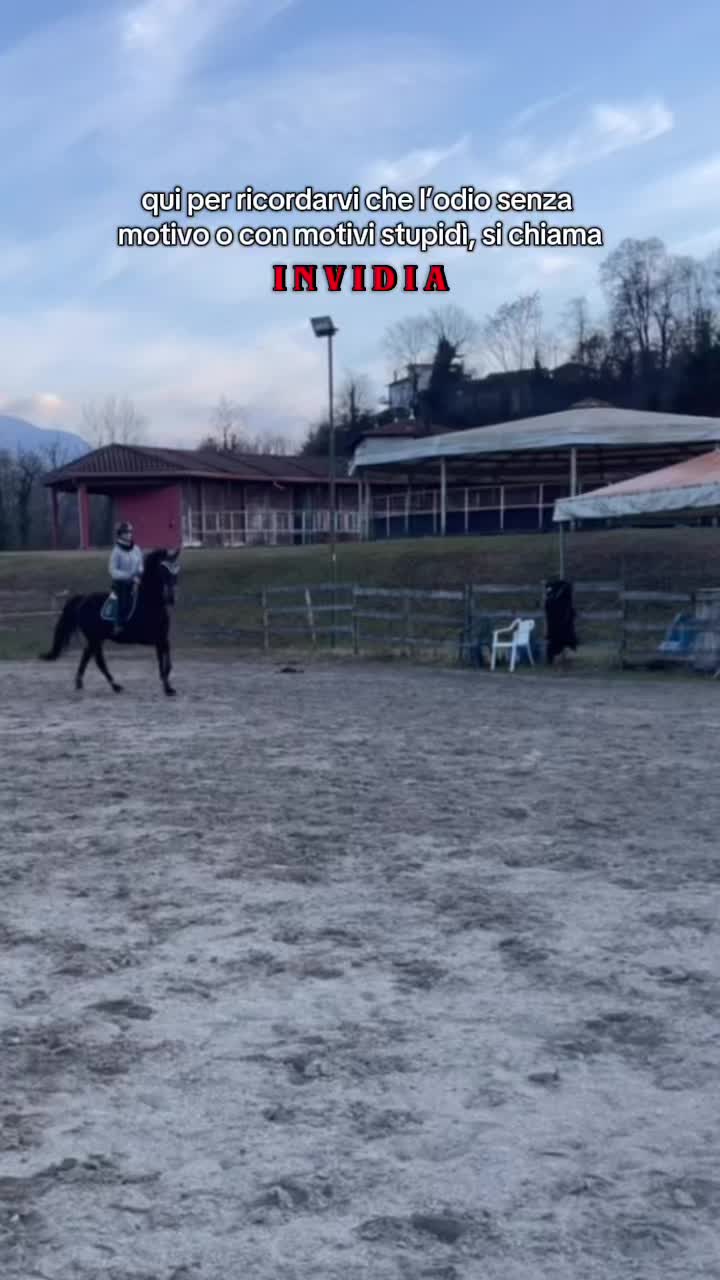 @ilarydaldini