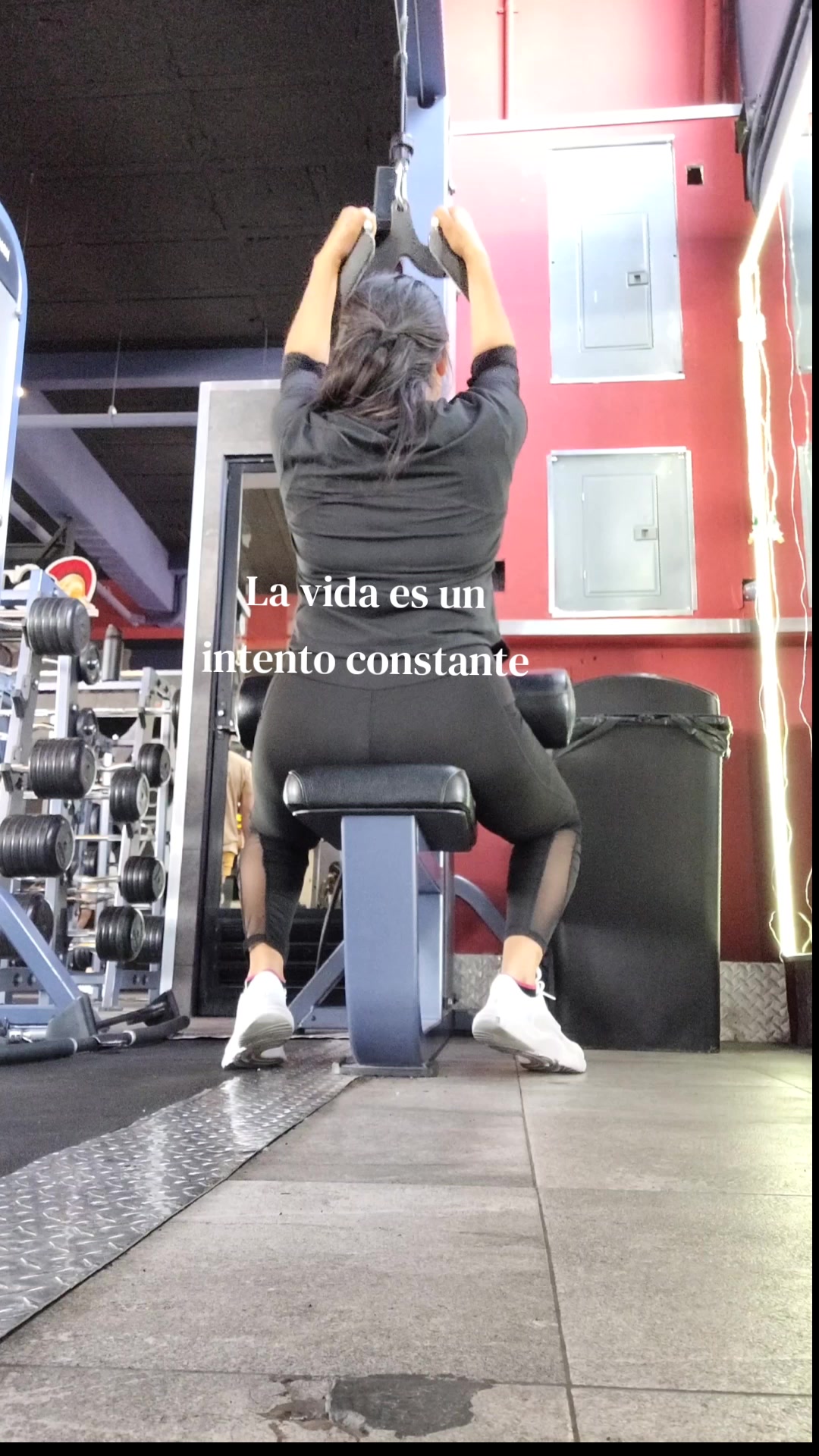 @La Reyna Citalan
