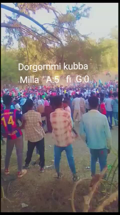 @Muktaar jimaa